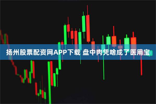 扬州股票配资网APP下载 盘中肉凭啥成了医用宝