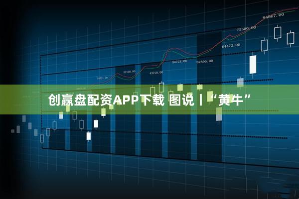 创赢盘配资APP下载 图说丨“黄牛”